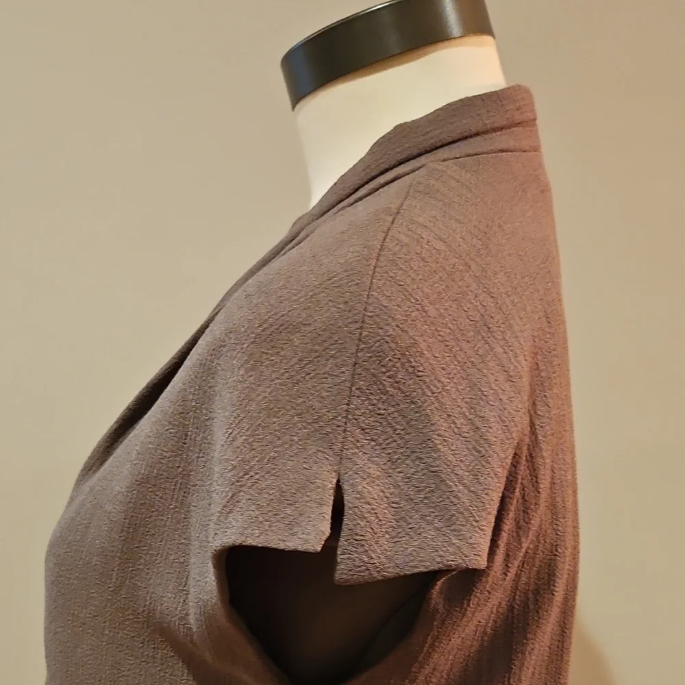 Carmen Marc Valvo Tan Dress - Picture 4 of 6